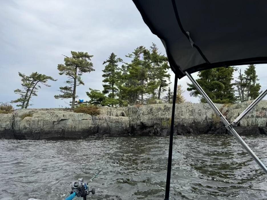 A rocky island shoreline topped with pines, seen from under the boat's bimini top